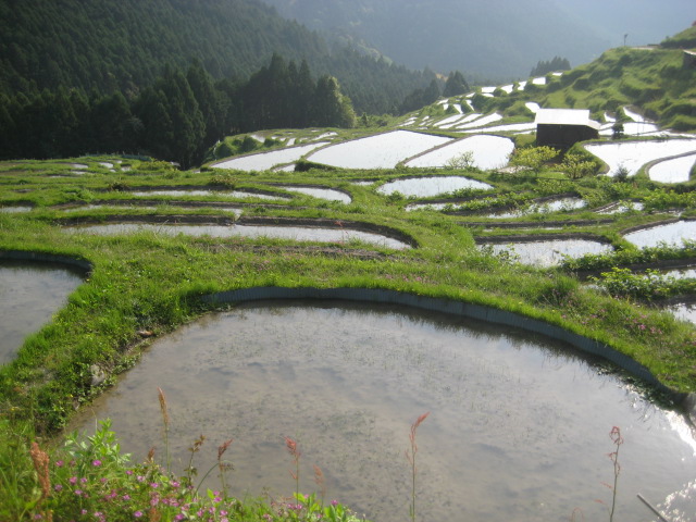 d0147727_22263680.jpg