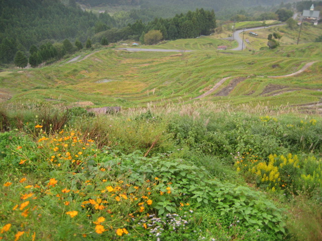 d0147727_22303197.jpg