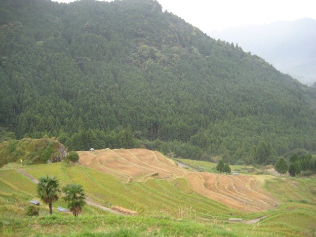 d0147727_22304640.jpg