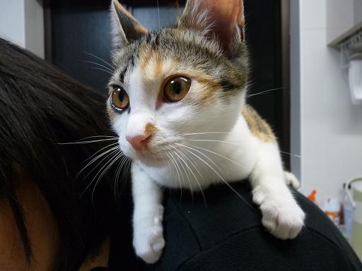 c0156328_7115791.jpg