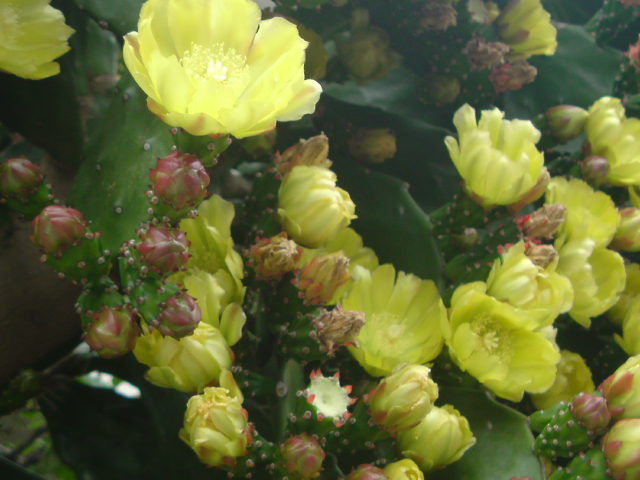 e0016828_1961720.jpg