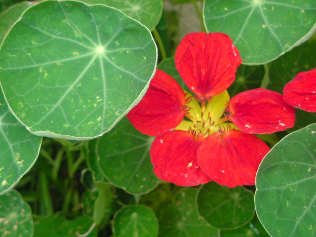 e0016828_1971838.jpg
