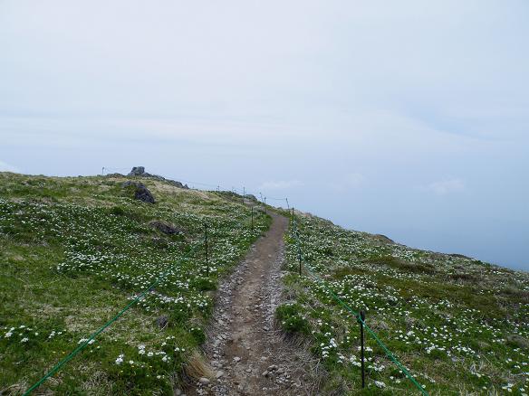f0118332_04344.jpg
