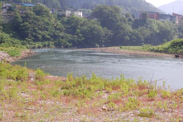 b0145733_1123497.jpg