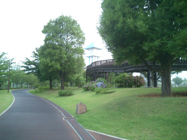 c0114833_23573864.jpg