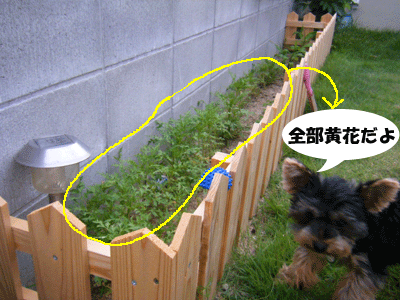 f0008935_15525258.gif
