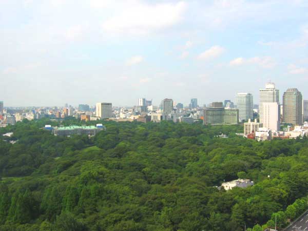 a0095337_23474922.jpg