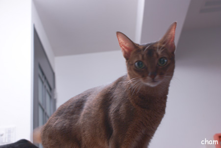 c0132438_223972.jpg