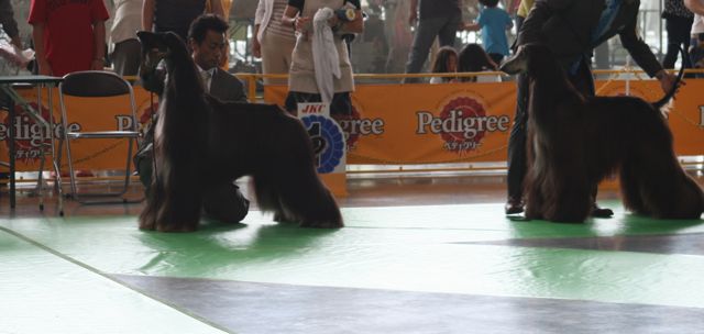 f0039538_23363387.jpg