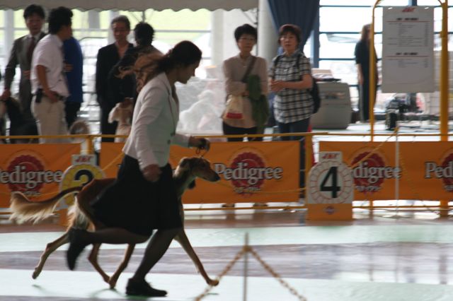 f0039538_2346089.jpg