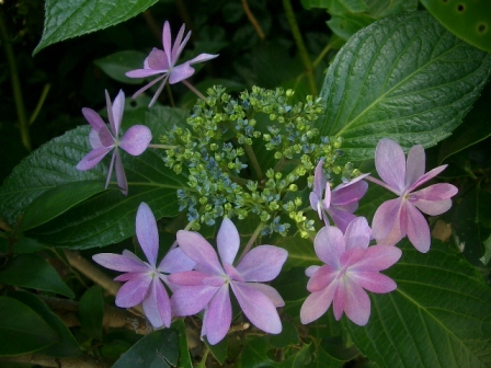 c0025140_16563944.jpg