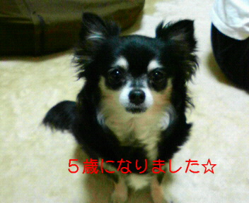c0121141_2324297.jpg