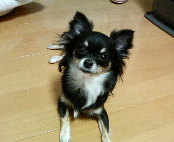 c0121141_23303931.jpg