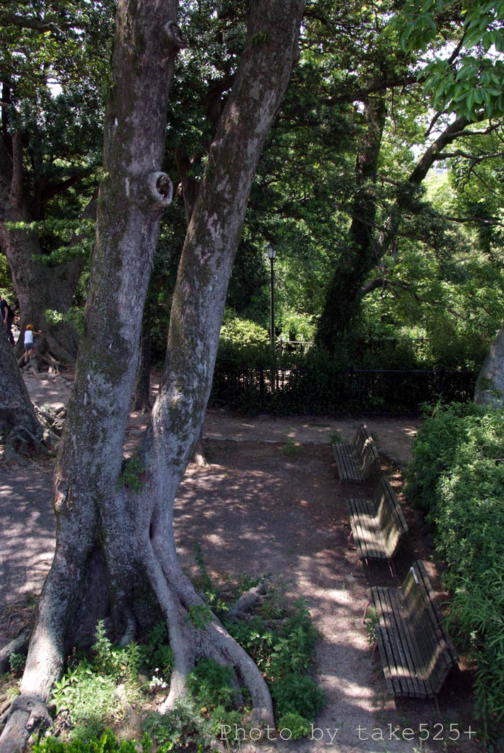 a0116946_10305915.jpg