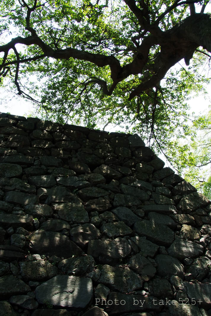 a0116946_10314086.jpg