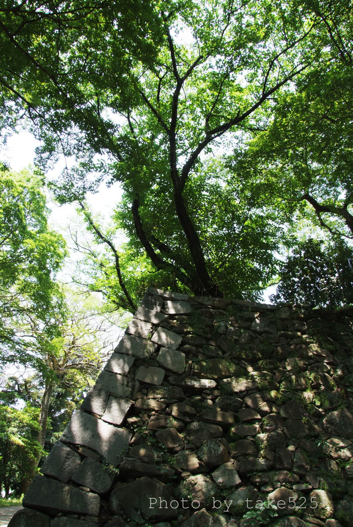 a0116946_1034018.jpg