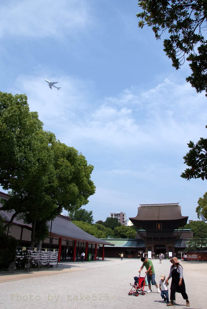 a0116946_1040341.jpg