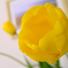 c0189747_952291.jpg