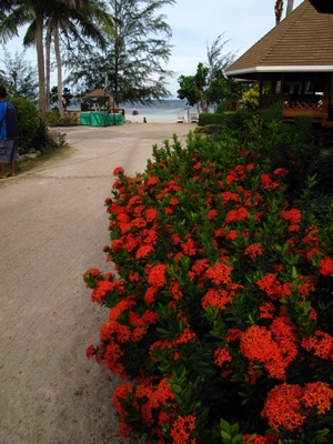 e0027447_2034363.jpg