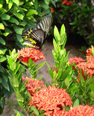 e0027447_20352259.jpg