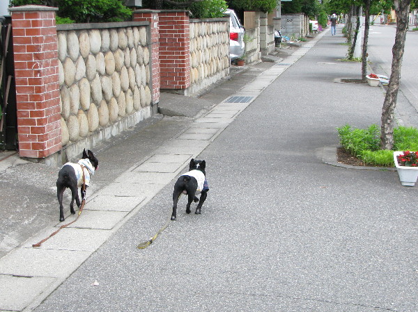 f0160554_20113471.jpg