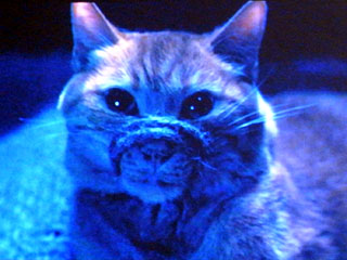 c0016056_15291257.jpg