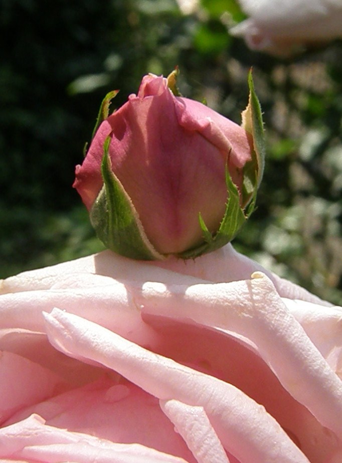 e0064158_19251317.jpg