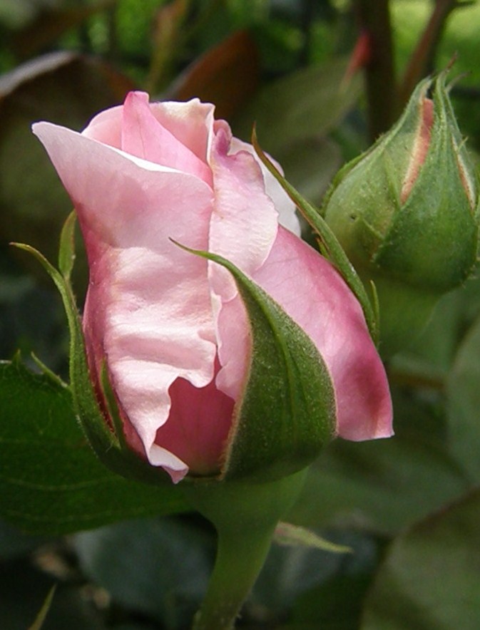 e0064158_19252763.jpg