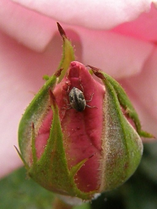 e0064158_1926641.jpg
