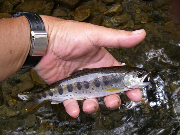 b0053660_17244784.jpg