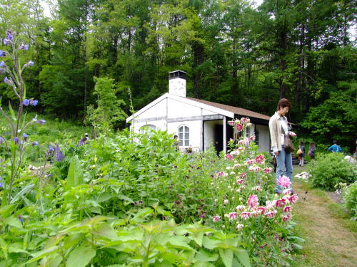 e0088260_22214397.jpg