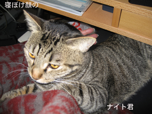 e0057361_20583521.jpg