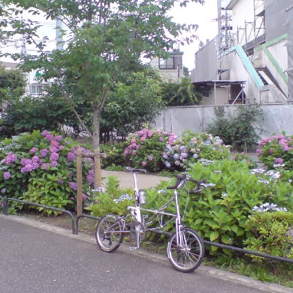 f0178061_0212793.jpg