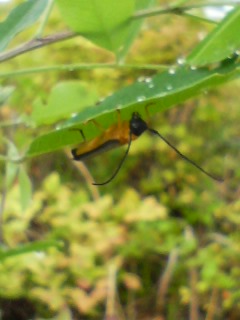 b0178466_22191741.jpg