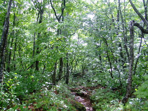 c0022275_20571018.jpg