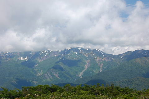 c0022275_21101985.jpg