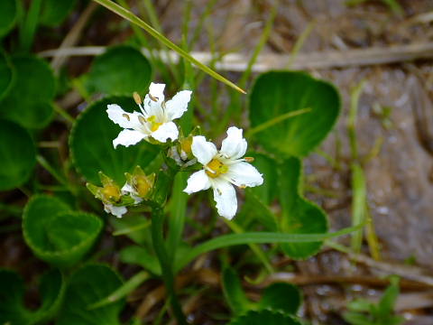 c0022275_2191626.jpg