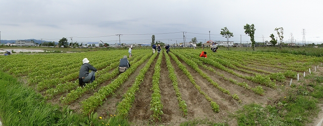 c0183777_1591232.jpg