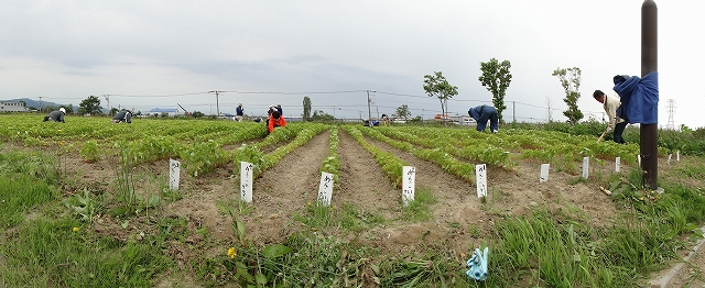 c0183777_1593522.jpg