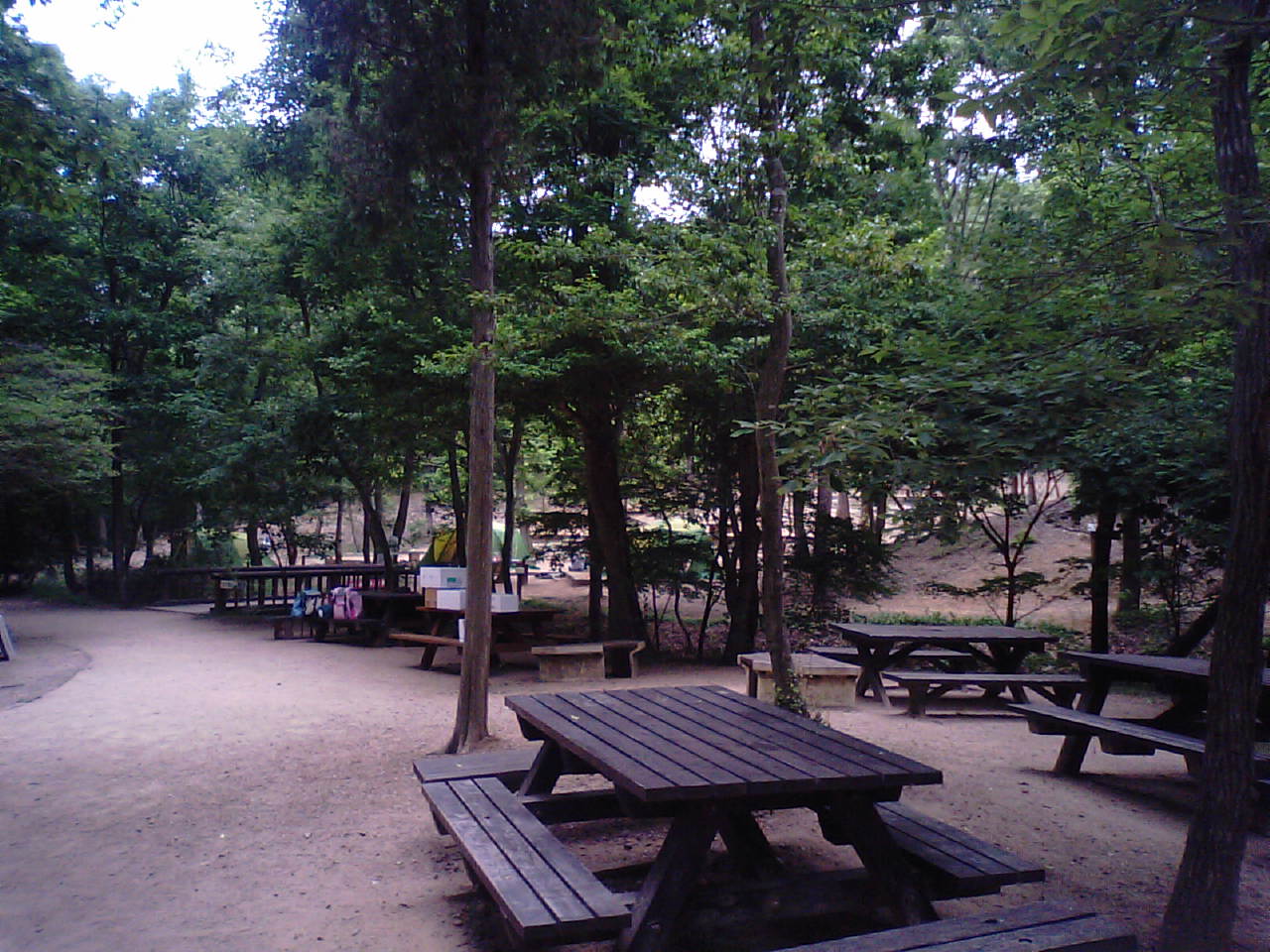 c0160778_20534023.jpg