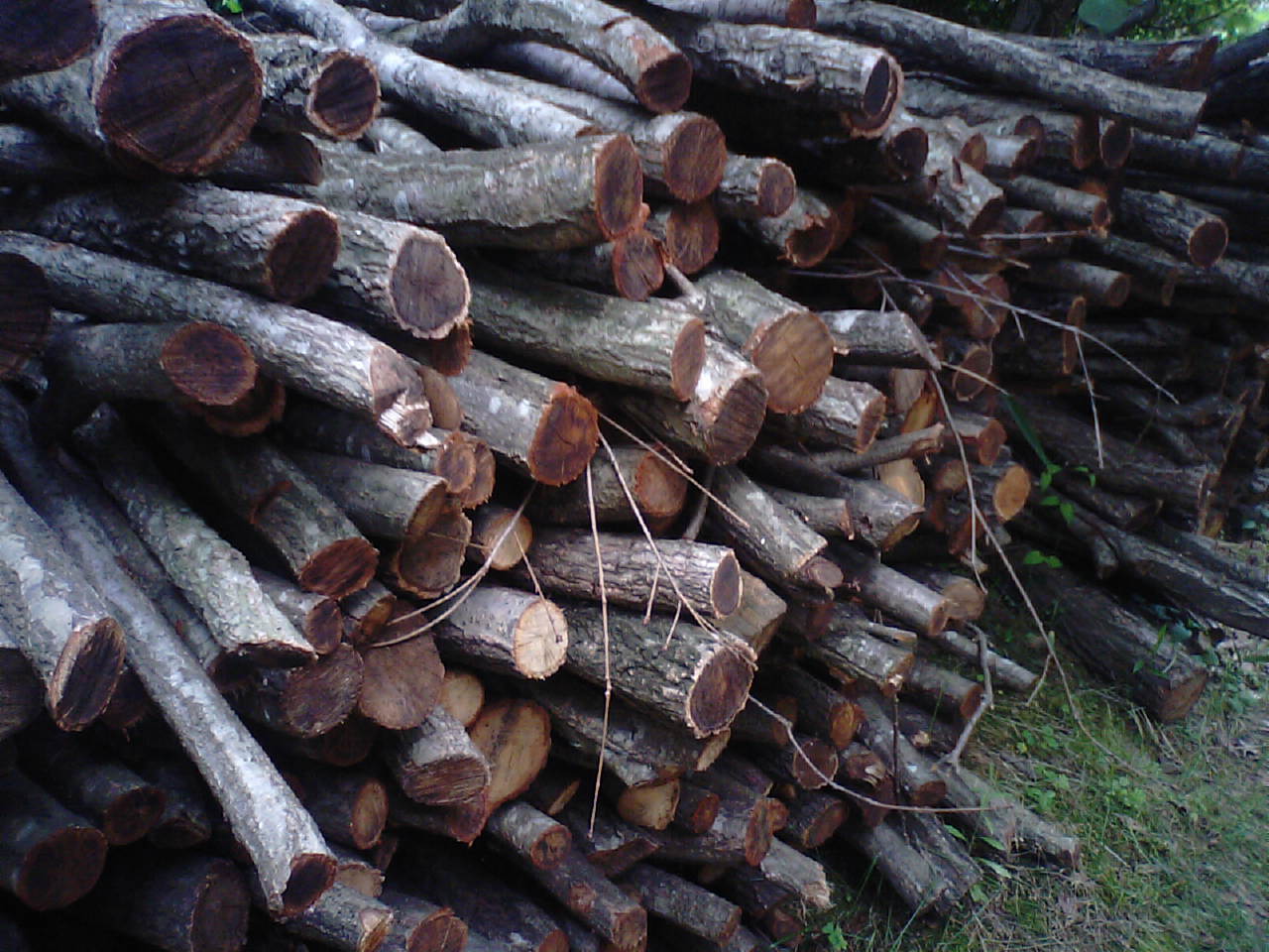 c0160778_2054217.jpg