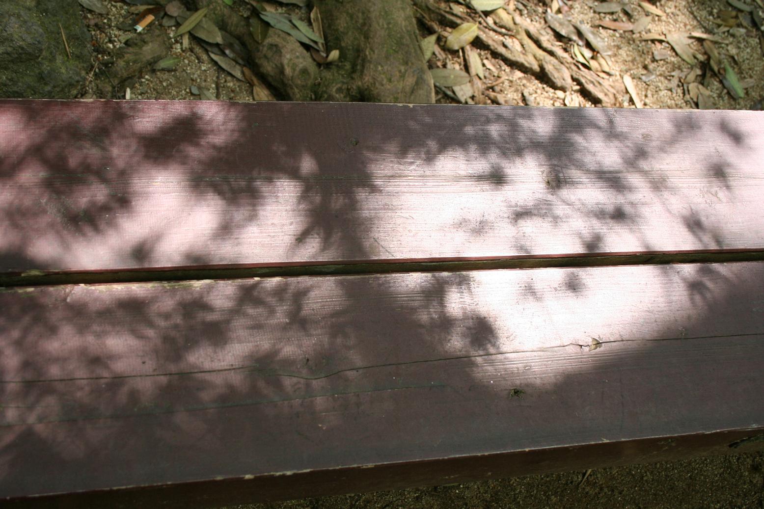 f0167382_1935911.jpg