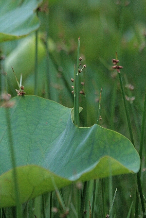 d0133693_2113329.jpg