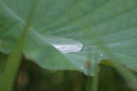 d0133693_21133743.jpg
