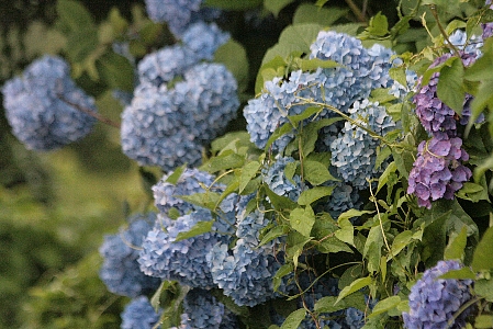 d0133693_21134821.jpg