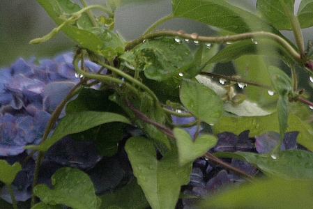 d0133693_21135369.jpg