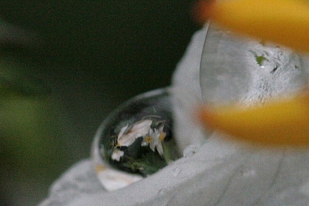 d0133693_21145045.jpg