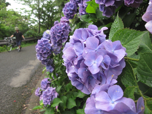 c0133096_22515251.jpg