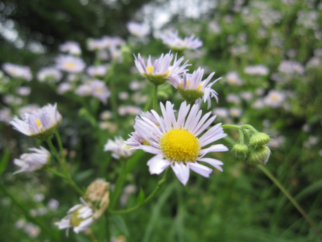 c0133096_225374.jpg