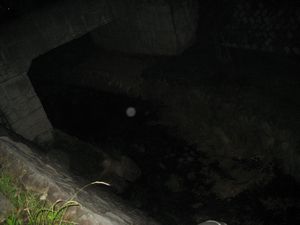 f0201297_23543485.jpg